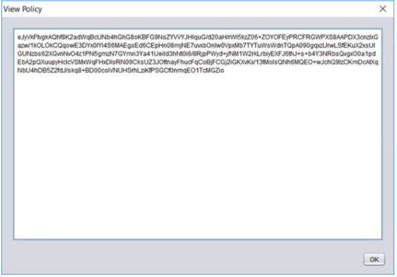 Screenshot of View Policy dialog box in AnyConnect Enterprise Application Selector